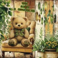 Teddy Allways a Cuddle For You