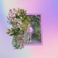 Cluster & Photo