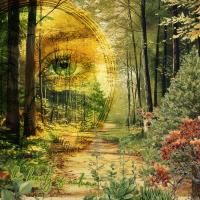 The Beauty Of Autumn